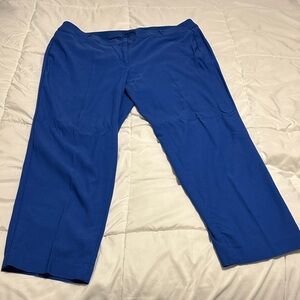 Lane Bryant Blue Skinny Pants